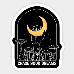 Chase Your Dreams 2 Sticker